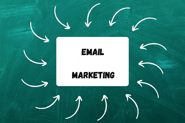 tampa, tampa bay, florida, marketing, business, digital marketing