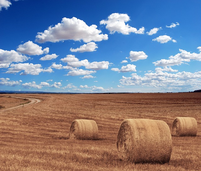 tractorfarm-vehiclesfarming-640x480-86475753.jpeg
