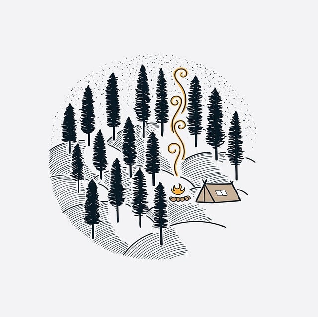 flashlight, camping, outdoors