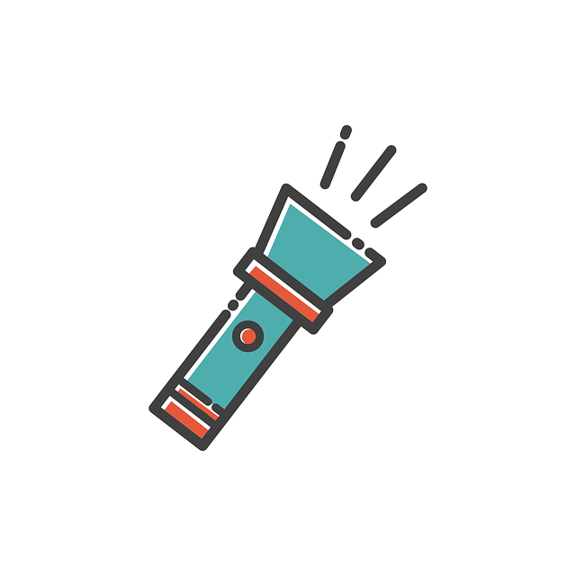 flashlight, emergency