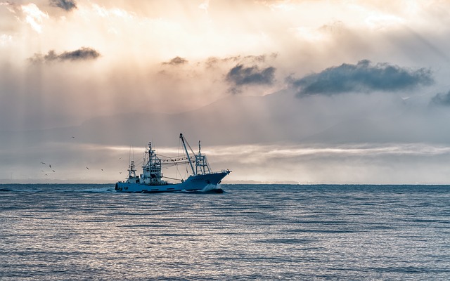 flashlight, fishing, boating