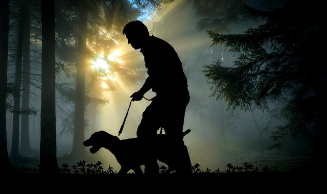flashlight, hunting, survival