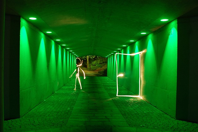flashlight, hunting, survival