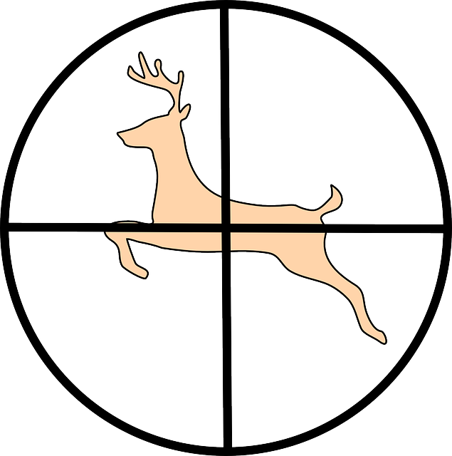 flashlight, hunting, survival