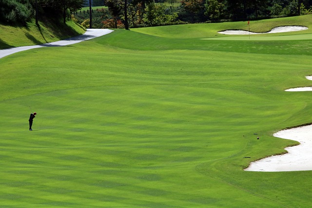 golf-cartgolfgolfing-640x480-56538845.jpeg