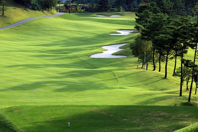 golf cart,golf,golfing