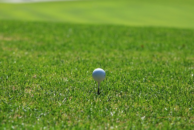 golf cart,golf,golfing
