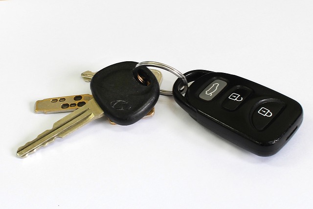 key fob,car fob,button battery