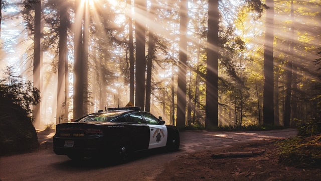 police