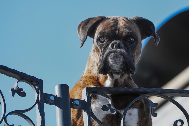 security-guard-640x480-87450811.jpeg