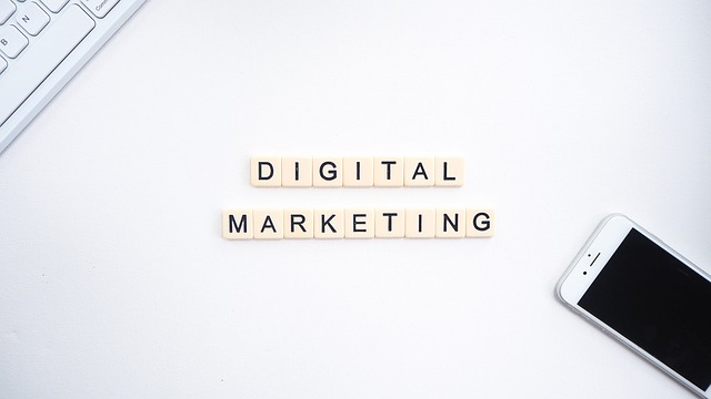 tampa, tampa bay, florida, marketing, business, digital marketing