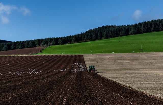 tractor,farm vehicles,farming