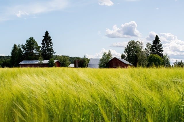 tractor,farm vehicles,farming