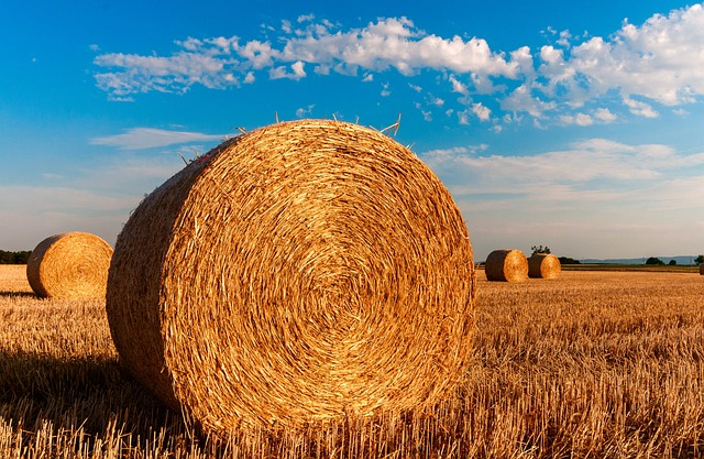 tractor,farm vehicles,farming