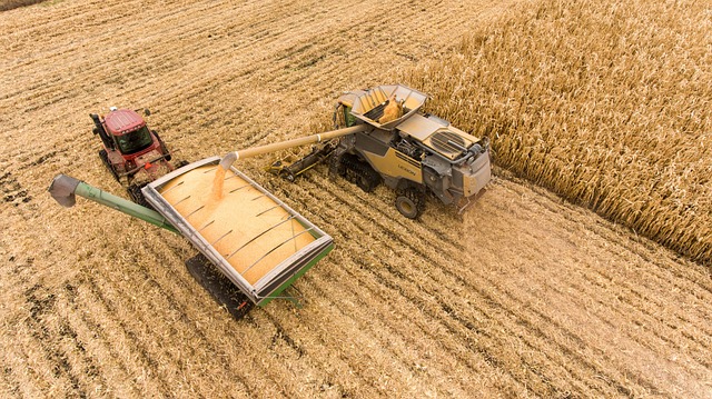 tractor,farm vehicles,farming