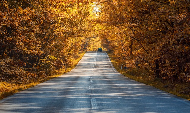 travel,road trip, flashlight