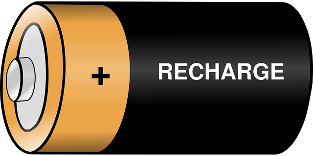 key fob,car fob,button battery
