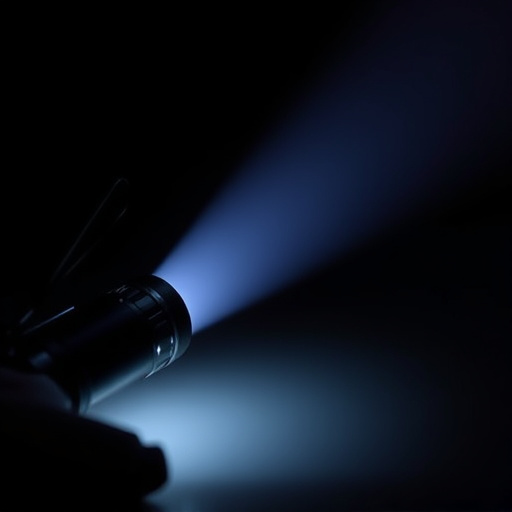 flashlight