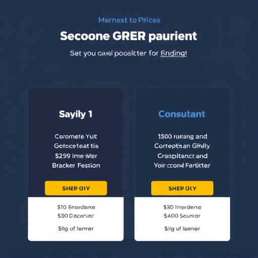 affordable gohighlevel consultant pricing