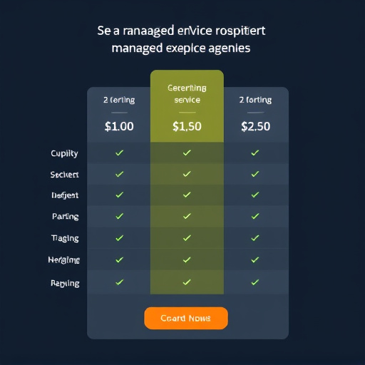 agency managed service pricing