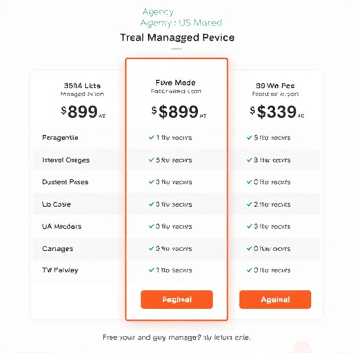 agency managed service pricing