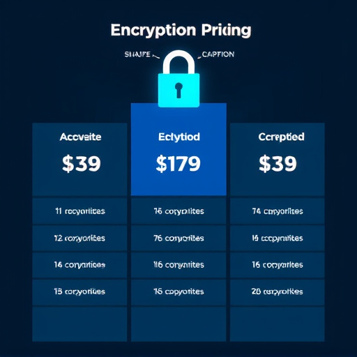 backup encryption pricing