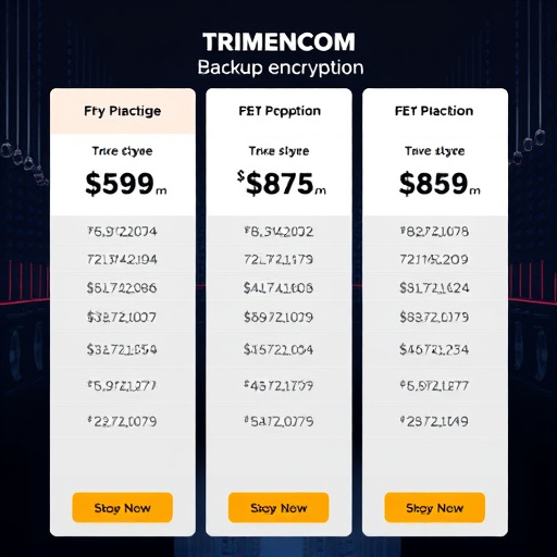backup encryption pricing