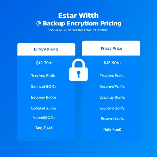 backup encryption pricing