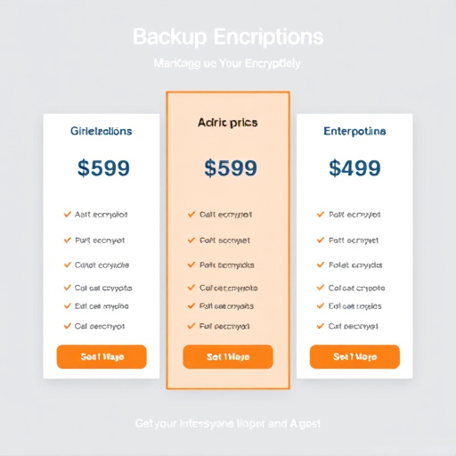 backup encryption pricing