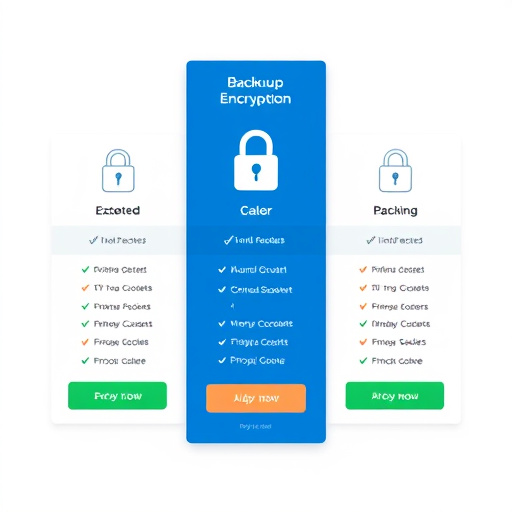 backup encryption pricing