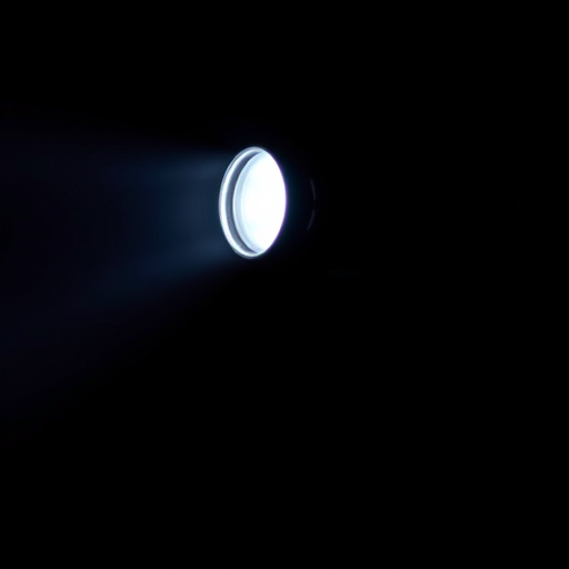 flashlight