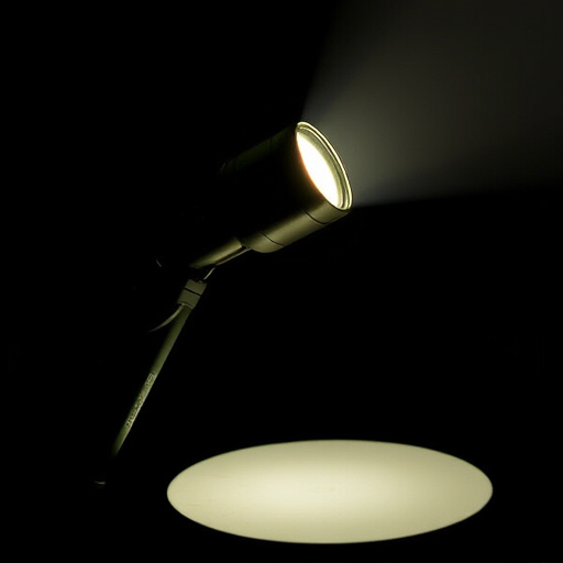 flashlight