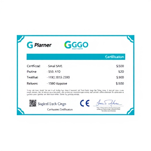 gohighlevel partner certification cost