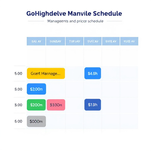 gohighlevel schedule management price