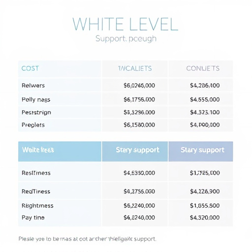 gohighlevel white label helpdesk support cost