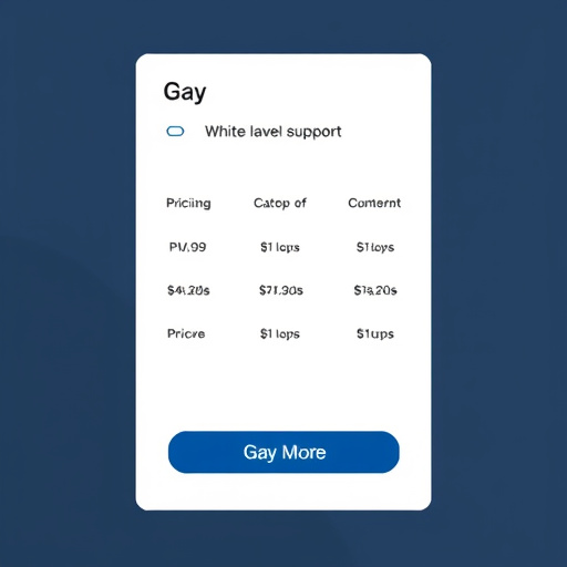gohighlevel white label subscription support pricing