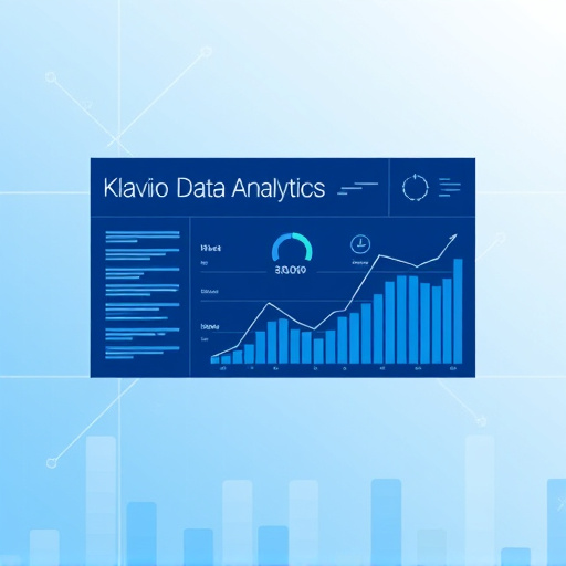 klaviyo data analytics