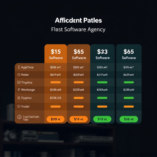 software agency pricing