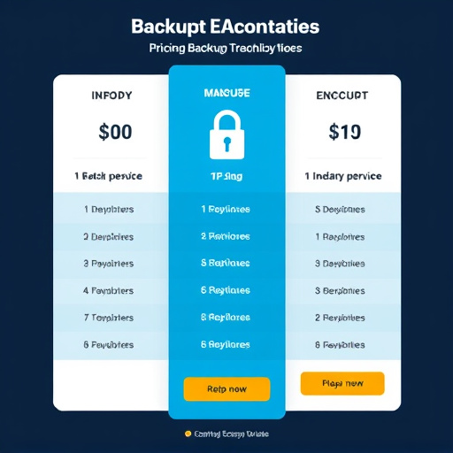 backup encryption pricing