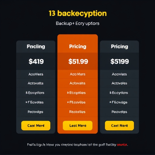 backup-encryption-pricing-640x480-66732216.jpeg