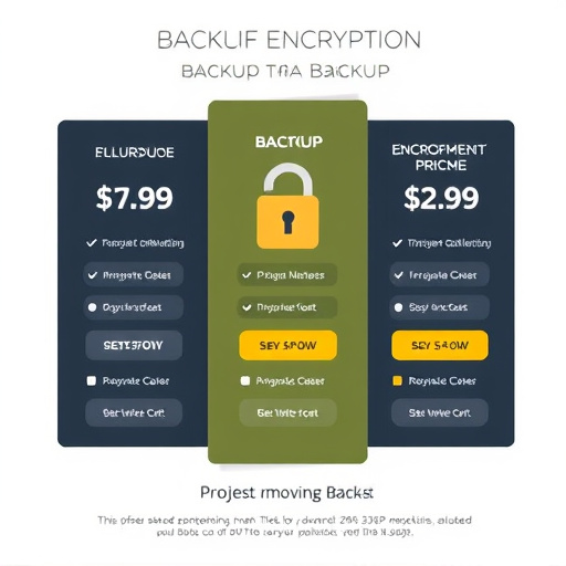 backup encryption pricing