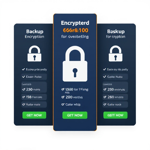 backup encryption pricing