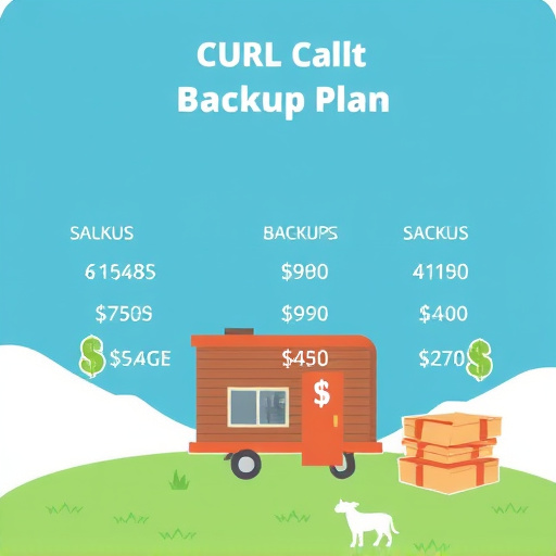 backup plan cost