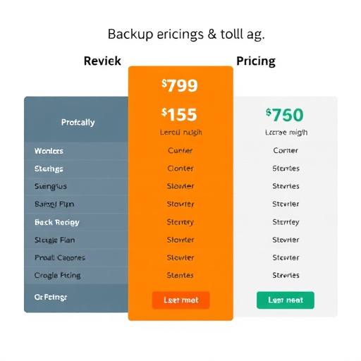 backup service pricing plan