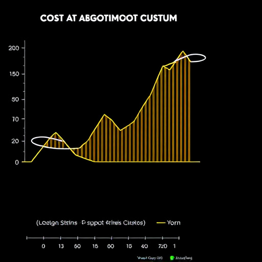 custom algorithm cost analysis