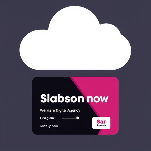 digital agency subscription