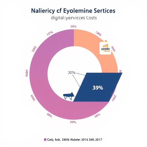 digital service costs