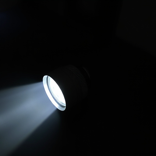 flashlight