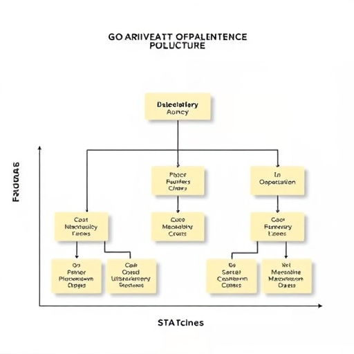 gohighlevel agency cost structure