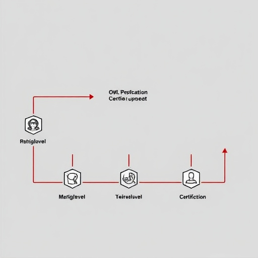 gohighlevel certification process